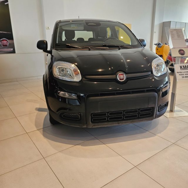 Fiat Panda 1.0 FireFly S&S Hybrid Pandina - foto 2 di 4