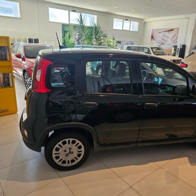 Fiat Panda 1.0 FireFly S&S Hybrid Pandina - foto 4 di 4