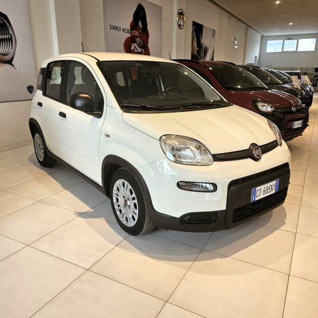 Fiat Panda 1.0 FireFly S&S Hybrid usato a MONDOLFO