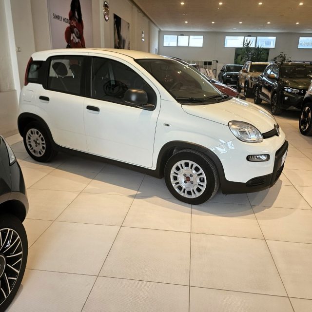 Fiat Panda 1.0 FireFly S&S Hybrid - foto 3 di 4