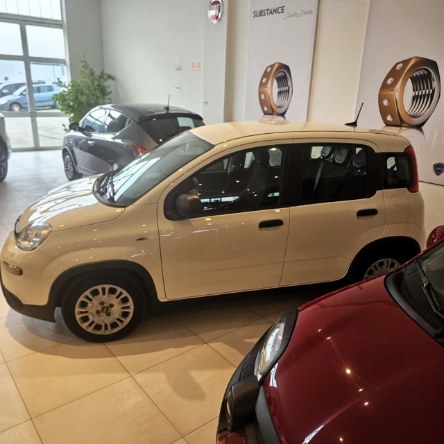 Fiat Panda 1.0 FireFly S&S Hybrid usato a MONDOLFO