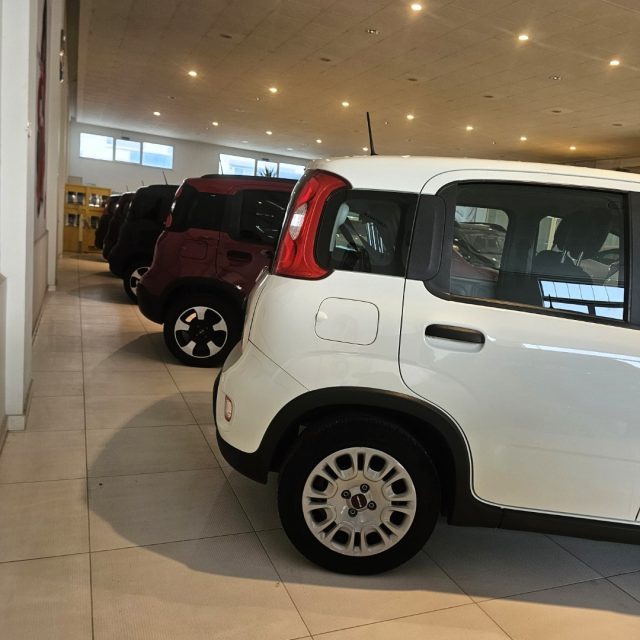 Fiat Panda 1.0 FireFly S&S Hybrid - foto 4 di 4