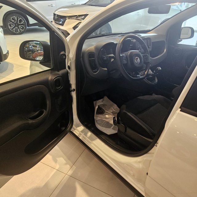 Fiat Panda 1.0 FireFly S&S Hybrid usato a MONDOLFO
