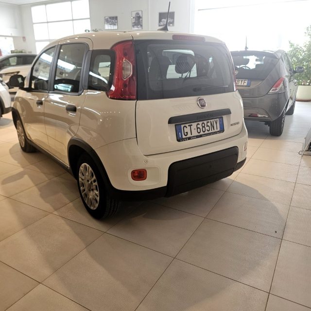 Fiat Panda 1.0 FireFly S&S Hybrid usato a MONDOLFO