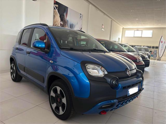 Fiat Panda Cross 1.0 FireFly S&S Hybrid usato a MONDOLFO