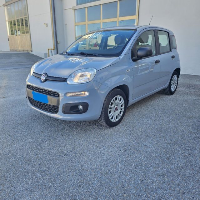 Fiat Panda 1.2 EasyPower Easy usato a MONDOLFO