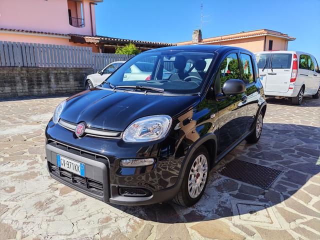Fiat Panda 1.0 FireFly S&S Hybrid City Life usato a CIVITAVECCHIA