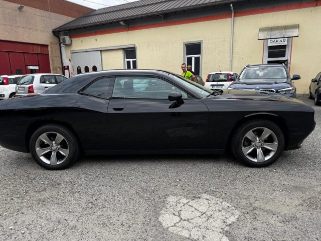 Dodge Challenger COUPE' usato a OMEGNA