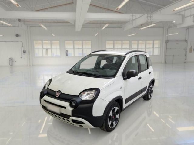Fiat Panda Cross 1.0 FireFly S&S Hybrid usato a OMEGNA