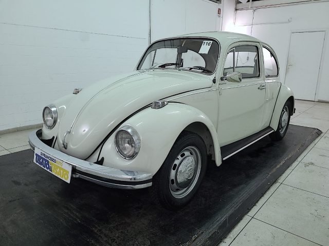 Volkswagen Maggiolino Vetro Piatto usato a PESCARA