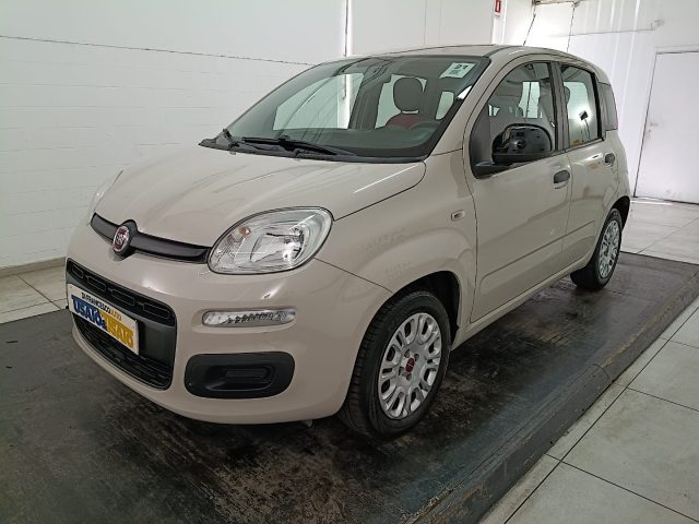 Fiat Panda 1.3 mjt 16v Easy s&s 95cv usato a PESCARA