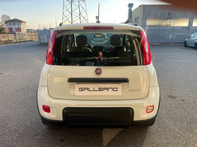 Fiat Panda 1.0 FireFly S&S Hybrid City Life - foto 3 di 4