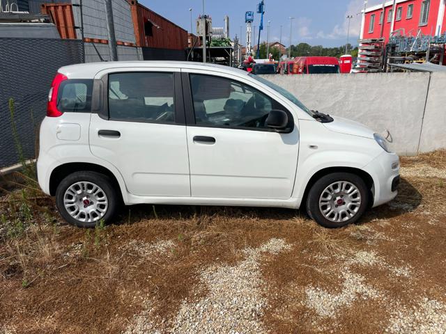 Fiat Panda 1.0 FireFly S&S Hybrid Easy - foto 2 di 4