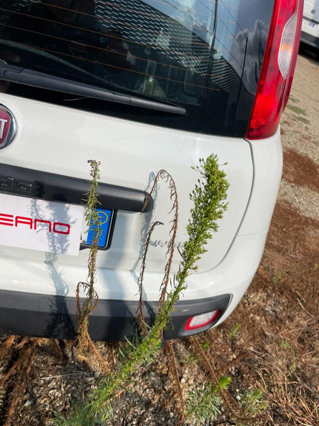 Fiat Panda 1.0 FireFly S&S Hybrid Easy - foto 4 di 4