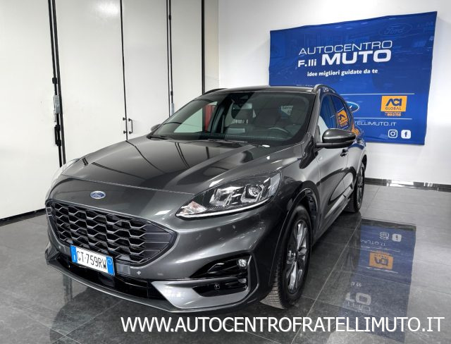 Ford Kuga 2.0 EcoBlue 120 CV aut. 2WD ST-Line usato a MEDESANO