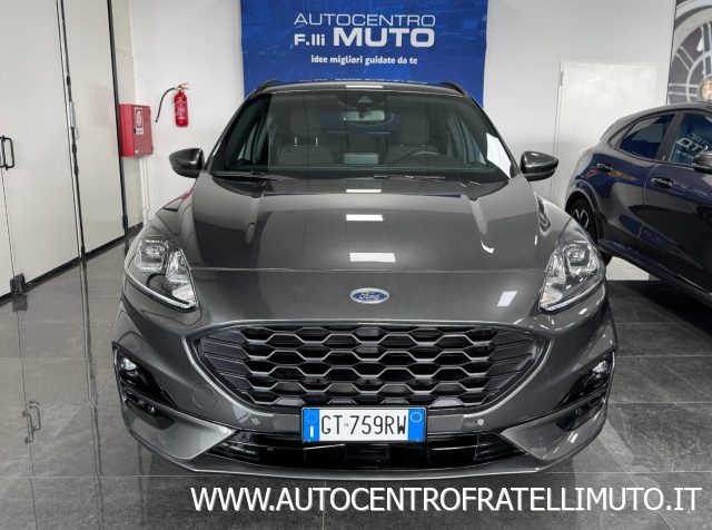 Ford Kuga 2.0 EcoBlue 120 CV aut. 2WD ST-Line - foto 4 di 4