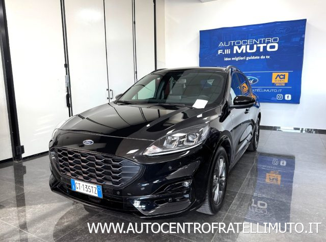 Ford Kuga 2.0 EcoBlue 120 CV aut. 2WD ST-Line usato a MEDESANO