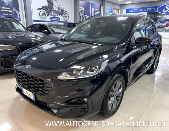 Ford Kuga 2.0 EcoBlue 120 CV aut. 2WD ST-Line usato a MEDESANO