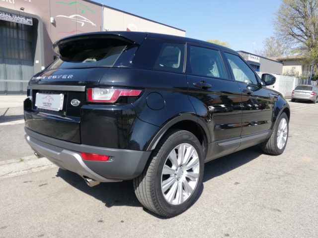 Land Rover Range Rover Evoque 2.0 eD4 5p. Business Edition Premium Pure - foto 4 di 4