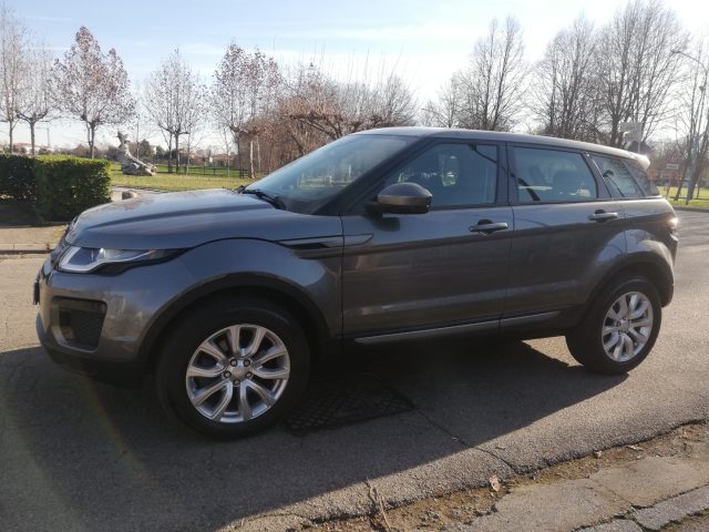 Land Rover Range Rover Evoque 2.0 eD4 5p. Business Edition Premium Pure - foto 3 di 4