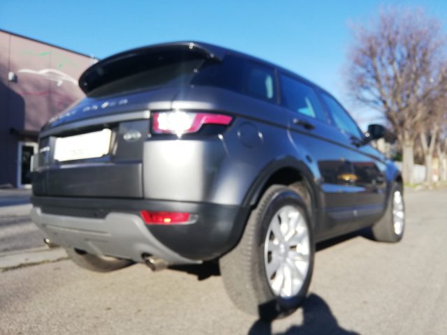 Land Rover Range Rover Evoque 2.0 eD4 5p. Business Edition Premium Pure - foto 4 di 4