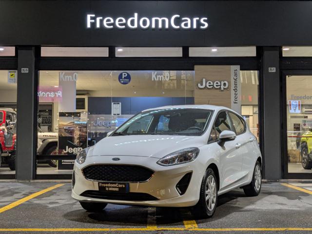 Ford Fiesta 1.1 75 CV GPL 5 porte Plus usato a PARMA