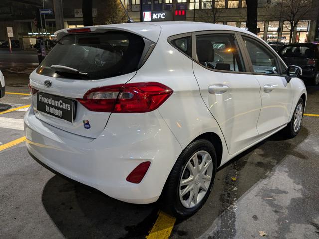 Ford Fiesta 1.1 75 CV GPL 5 porte Plus usato a PARMA