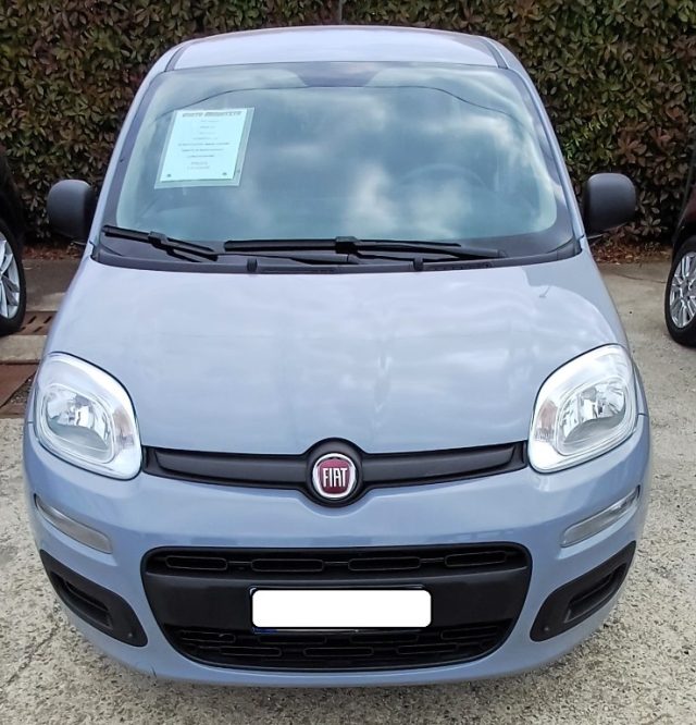 Fiat Panda 1.0 FireFly S&S Hybrid usato a GAGLIANICO