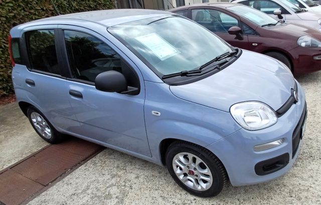 Fiat Panda 1.0 FireFly S&S Hybrid - foto 3 di 4