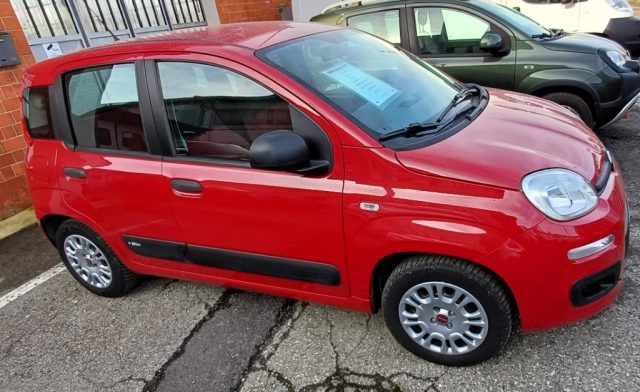 Fiat Panda 1.2 GARANZIA usato a GAGLIANICO