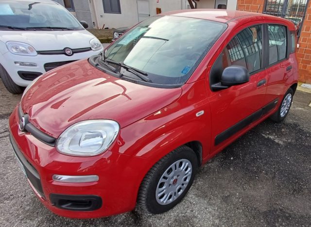 Fiat Panda 1.2 GARANZIA usato a GAGLIANICO