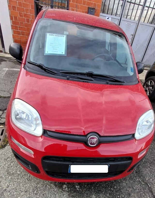 Fiat Panda 1.2 GARANZIA usato a GAGLIANICO