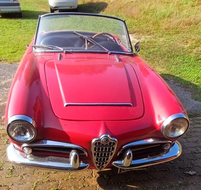 Alfa Romeo Giulia SPIDER usato a GAGLIANICO