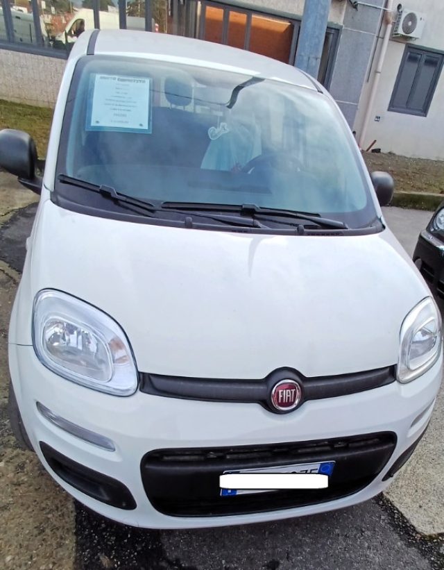 Fiat Panda 1.2 GARANZIA POCHI KM usato a GAGLIANICO