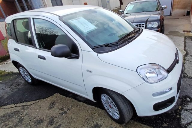 Fiat Panda 1.2 GARANZIA POCHI KM usato a GAGLIANICO