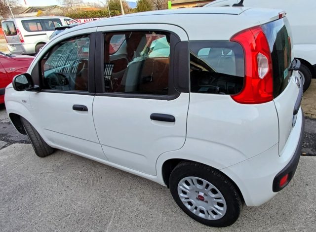 Fiat Panda 1.2 GARANZIA POCHI KM usato a GAGLIANICO