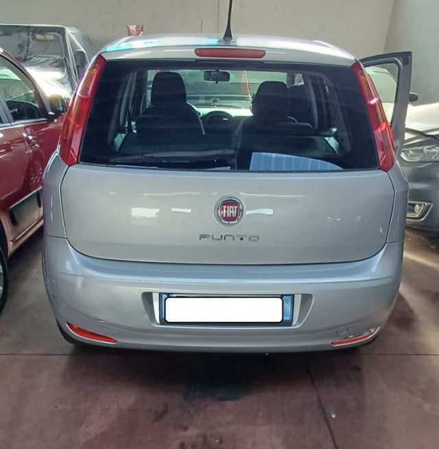 Fiat Punto 1.2 8V 5 porte Street usato a GAGLIANICO