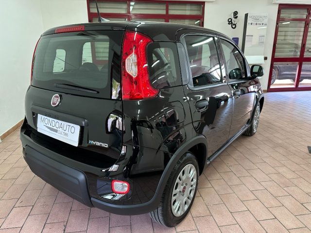 Fiat Panda 1.0 FireFly S&S Hybrid - foto 3 di 4