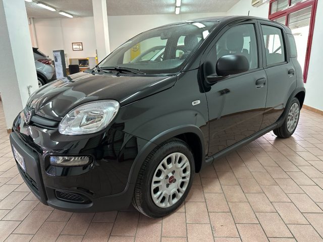 Fiat Panda 1.0 FireFly S&S Hybrid usato a MARSALA