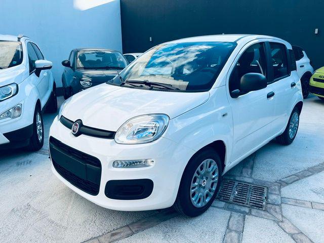 Fiat Pandina 1.0 FireFly 65 CV Hybrid Icon, del 2026, in vendita a Marsala (TP)