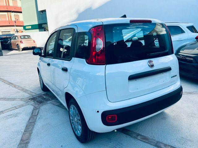 Fiat Pandina 1.0 FireFly 65 CV Hybrid Icon - foto 4 di 4