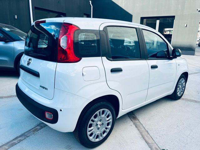 Fiat Pandina 1.0 FireFly 65 CV Hybrid Icon - foto 3 di 4