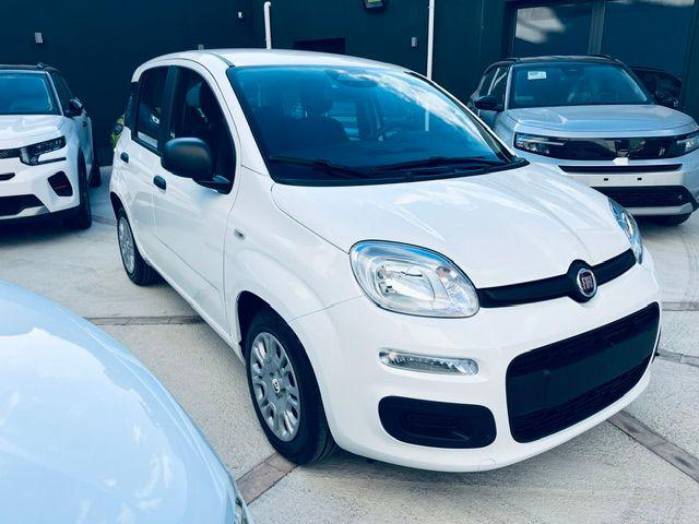 Fiat Pandina 1.0 FireFly 65 CV Hybrid Icon - foto 2 di 4