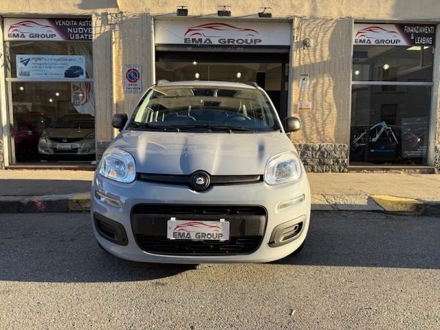 Fiat Panda 1.0 FireFly S&S Hybrid usato a TORINO