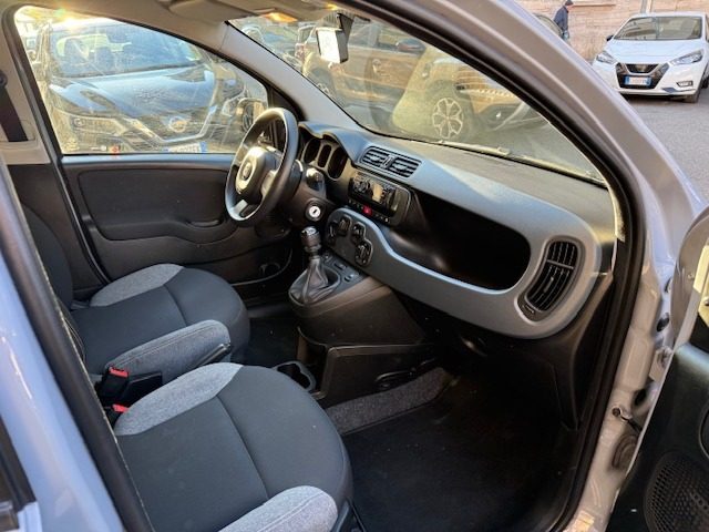 Fiat Panda 1.0 FireFly S&S Hybrid usato a TORINO