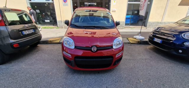Fiat Panda 1.0 FireFly S&S Hybrid km 0 a TORINO