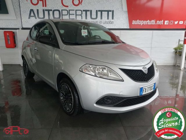 Lancia Ypsilon 1.2 69 CV 5p S&S Gold usato a CARRARA