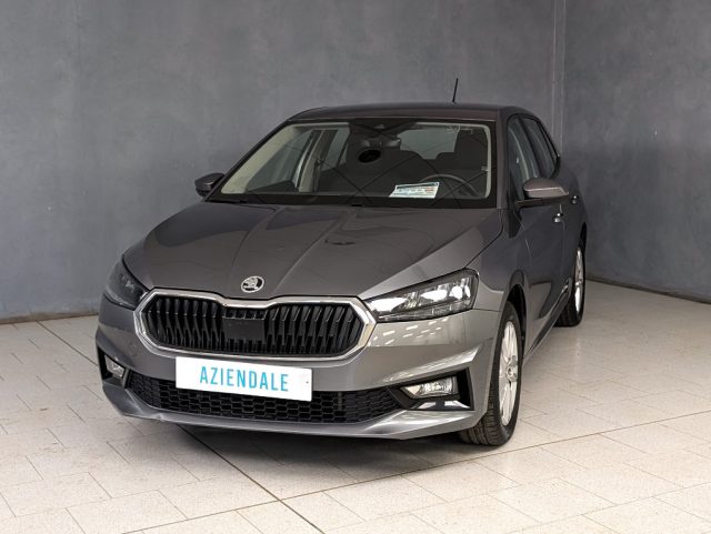 Skoda Fabia 1.0 TSI 95 CV Selection usato a TRECATE
