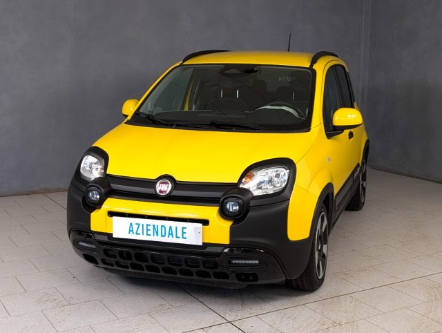 Fiat Panda Cross 1.0 FireFly S&S Hybrid usato a TRECATE