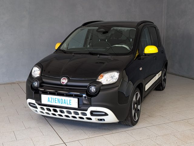 Fiat Panda Cross 1.0 FireFly S&S Hybrid usato a TRECATE